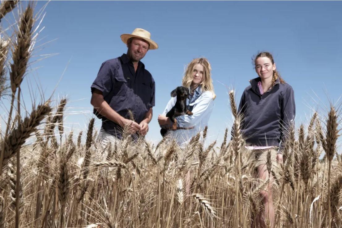 three people in wheat field