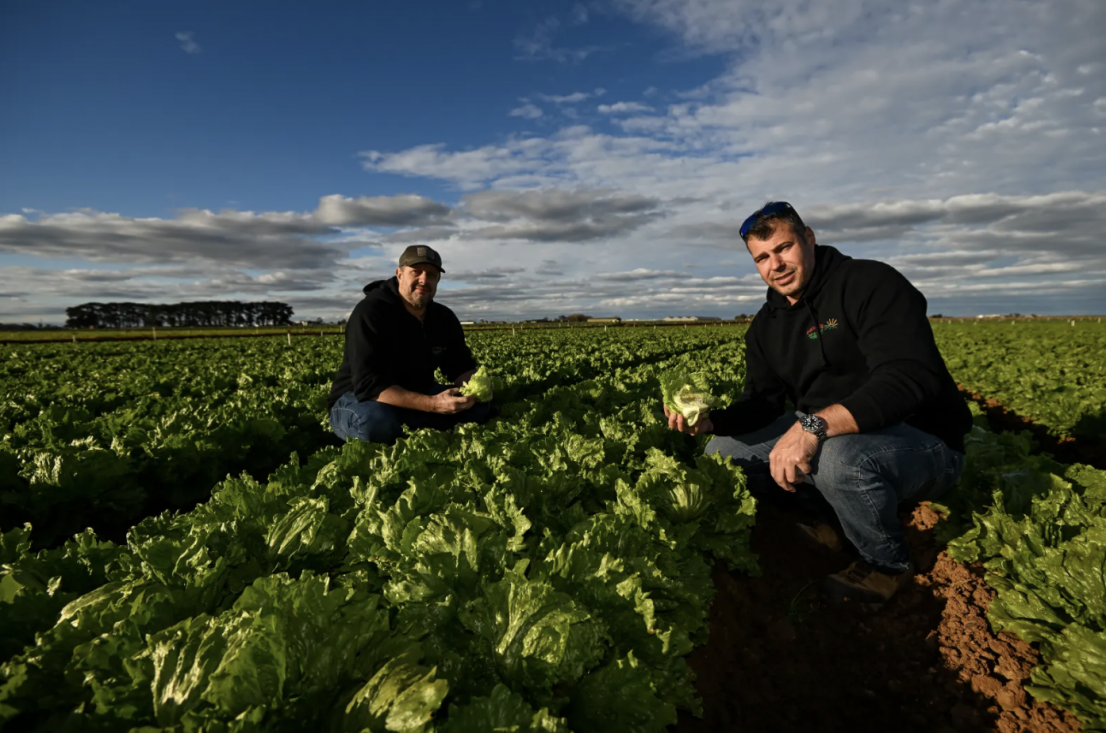 Vegetable growers Marco and Amo Mason on their Werribee South farm.